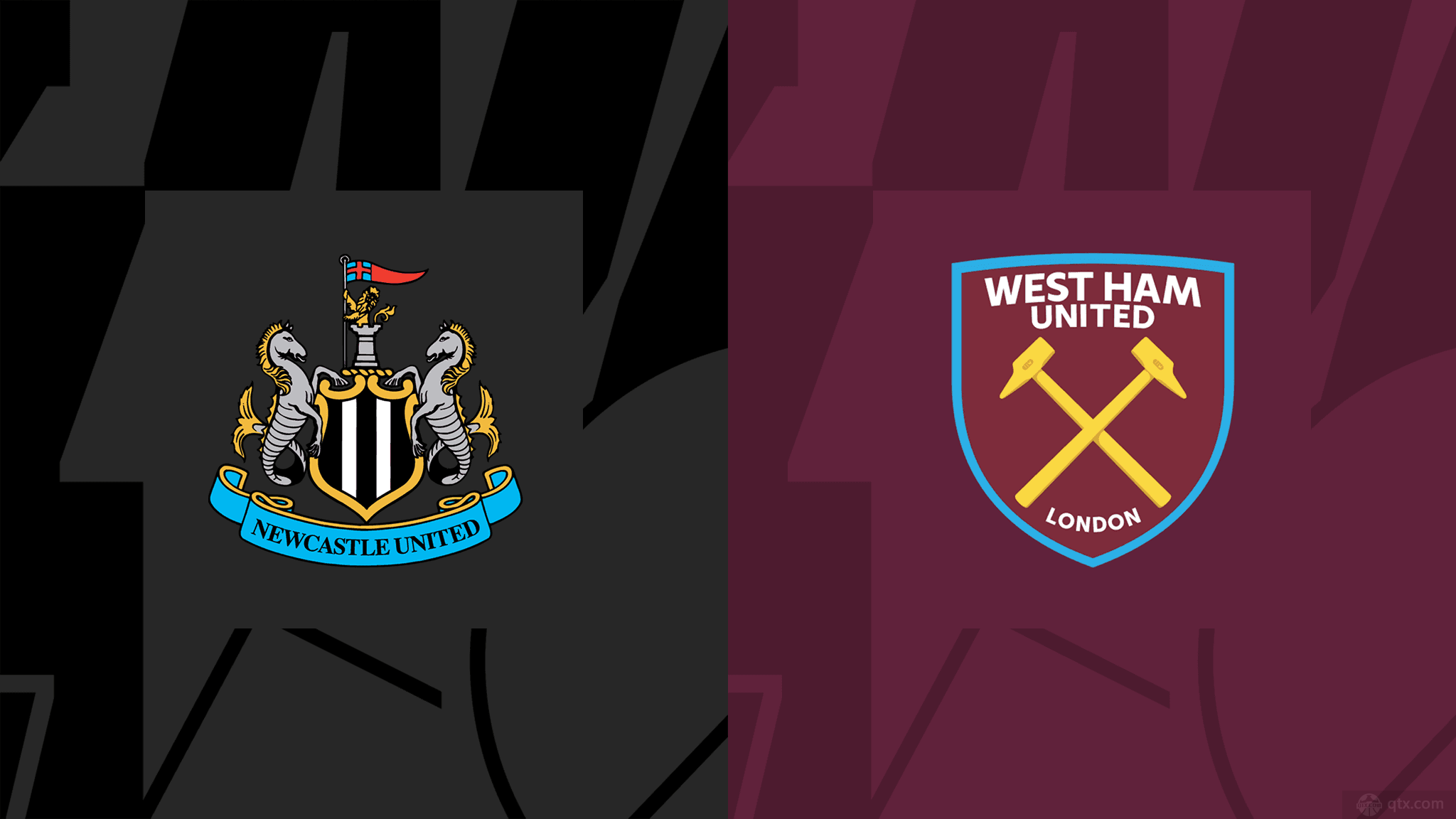 他的到来不 他的到来不